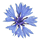 Loudun - Bleuet des poilus